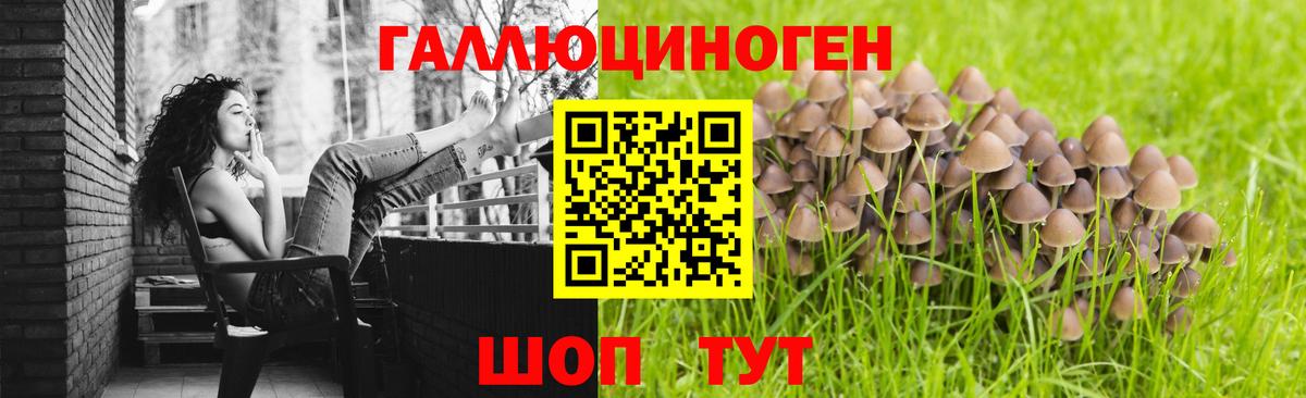 дарнет шоп  Псилоцибиновые грибы Psilocybe  Михайловка  Вход с VPN  Псилоцибиновые грибы мухоморы 