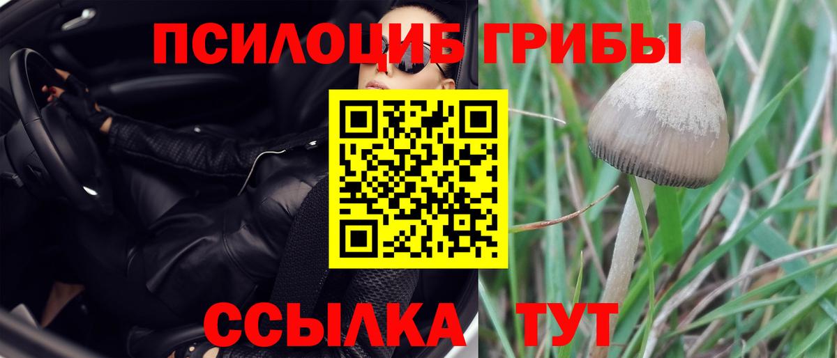 Псилоцибиновые грибы GOLDEN TEACHER Михайловка